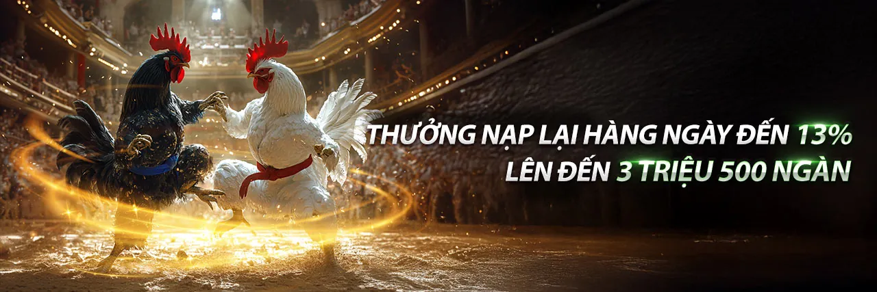 Hình ảnh chính của Blog NN88WIN 2026